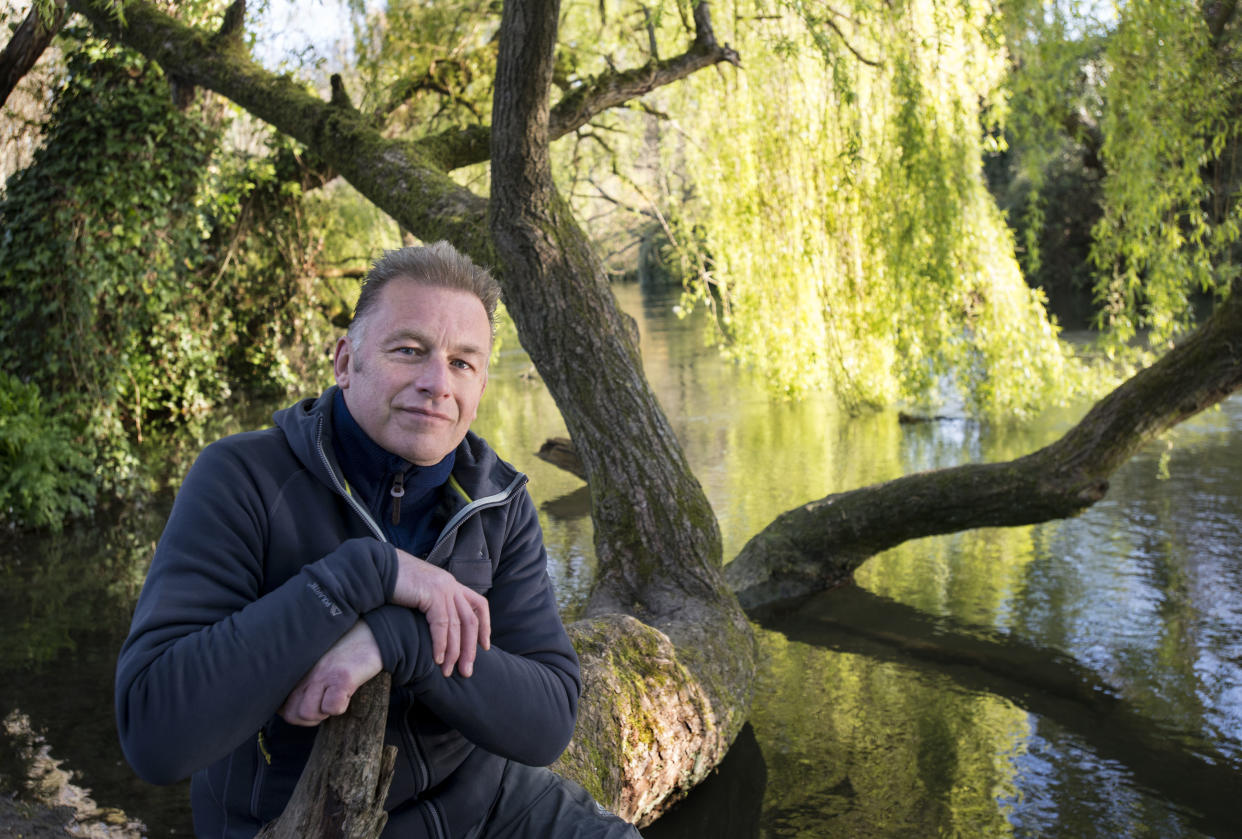Chris Packham sitting on his tree trunk seat on the banks of the River Itchen. (BBC/Atypical Media Ltd/Tim Smith)