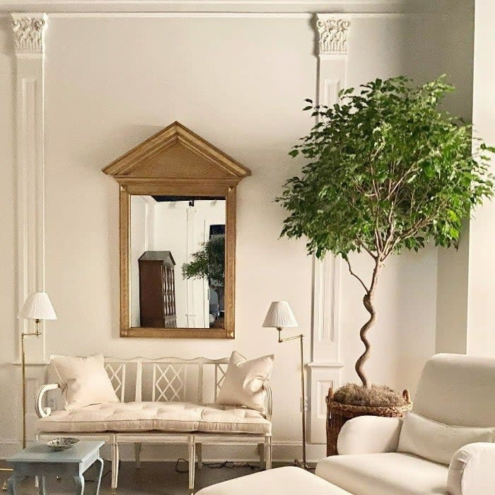 A traditional-style living room with off-white furniture, an indoor potted ficus tree, a gold mirror, and walls painted in Pointing white by Farrow & Ball. 