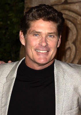 David Hasselhoff at the Westwood premiere of Warner Brothers' Harry Potter and The Sorcerer's Stone