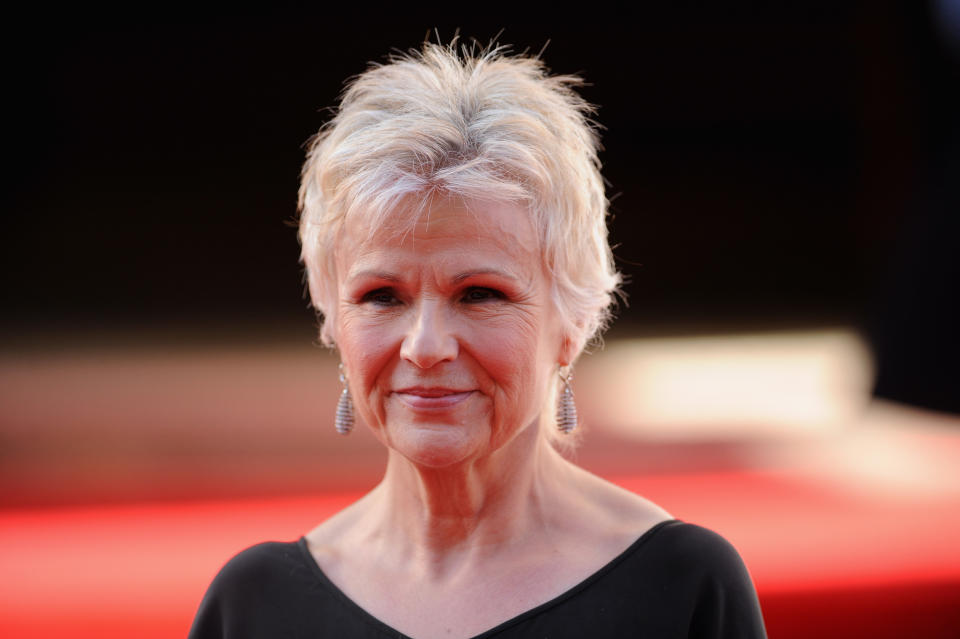 Julie is one of the many huge names who appeared in the 'Harry Potter' films so it's not like her career needed the boost.   Since the final film in 2011, Julie's been praised by critics her roles in a whole host of other movies, including voicing the witch in Disney's 'Brave'.