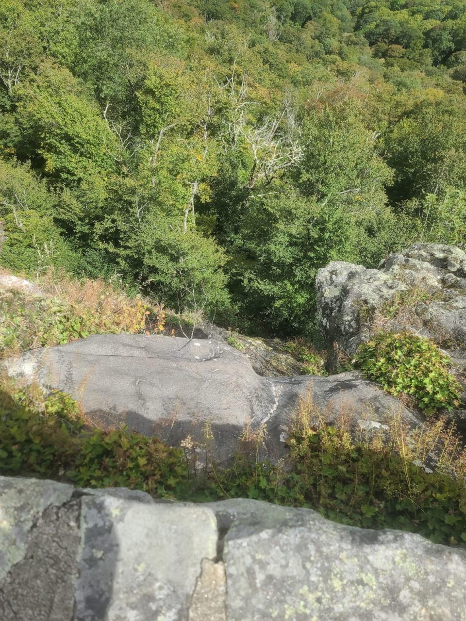 PHOTO: Reems Creek Firefighters respond to a fatal fall from a cliff on the Blue Ridge Parkway on Sept. 23, 2023. (Reems Creek Fire Department)