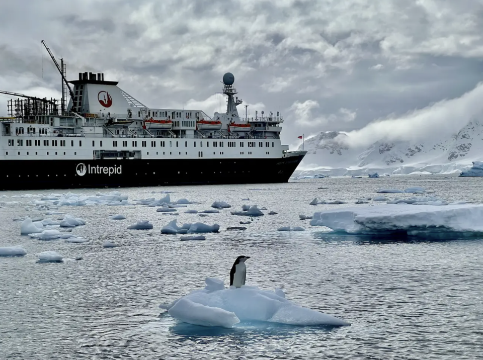 Von einer Reise in die Antarktis können die meisten Menschen nur träumen. - Copyright: Taylor Rains / Business Insider