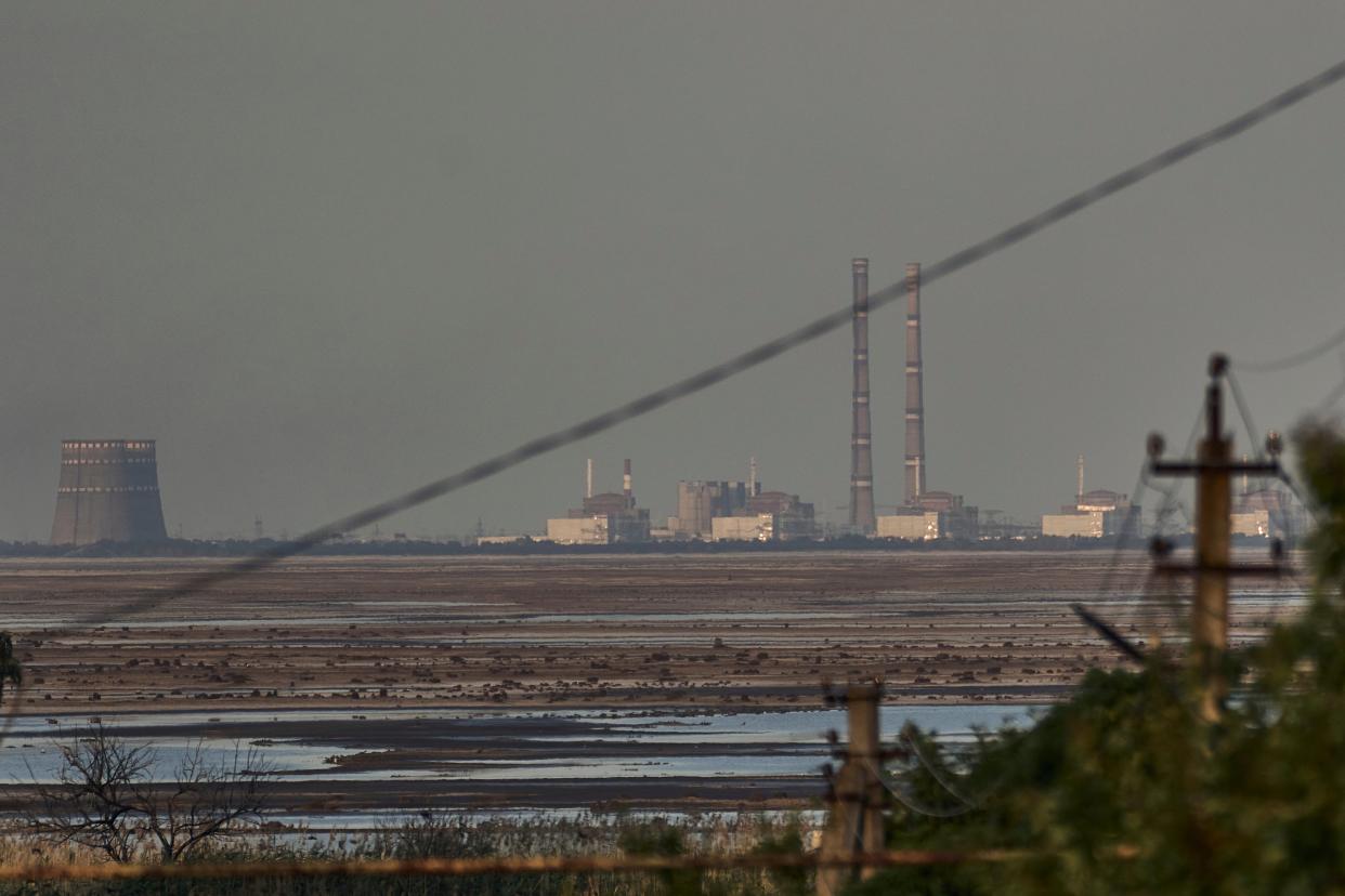 The Zaporizhzhia nuclear power plant, Europe's largest, is seen in the background of the shallow Kakhovka Reservoir after the dam collapse, in Energodar, Russian-occupied Ukraine (AP)