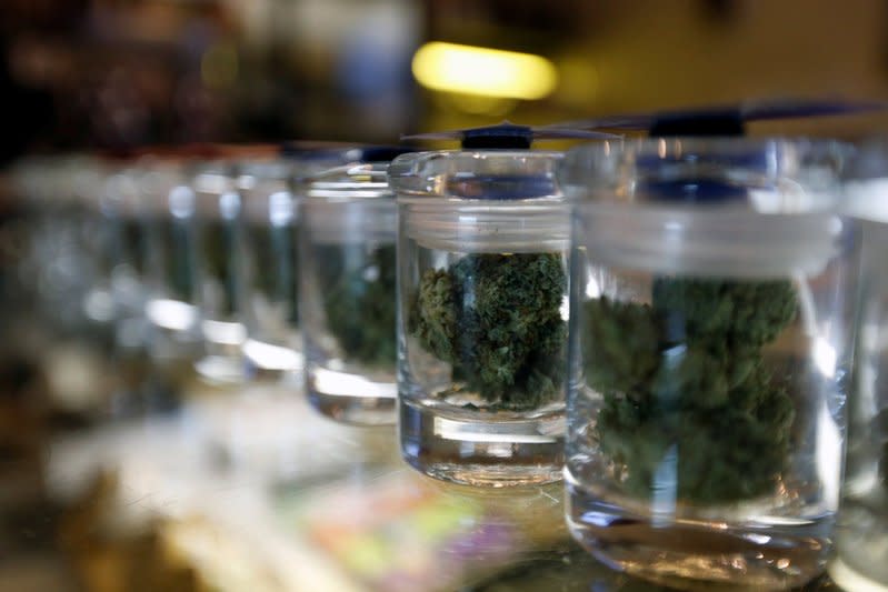 A variety of medicinal marijuana buds in jars are pictured at Los Angeles Patients & Caregivers Group dispensary in West Hollywood, California U.S., October 18, 2016. REUTERS/Mario Anzuoni