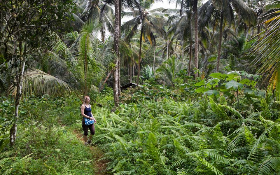 Head out for a hike at Los Haitises National Park