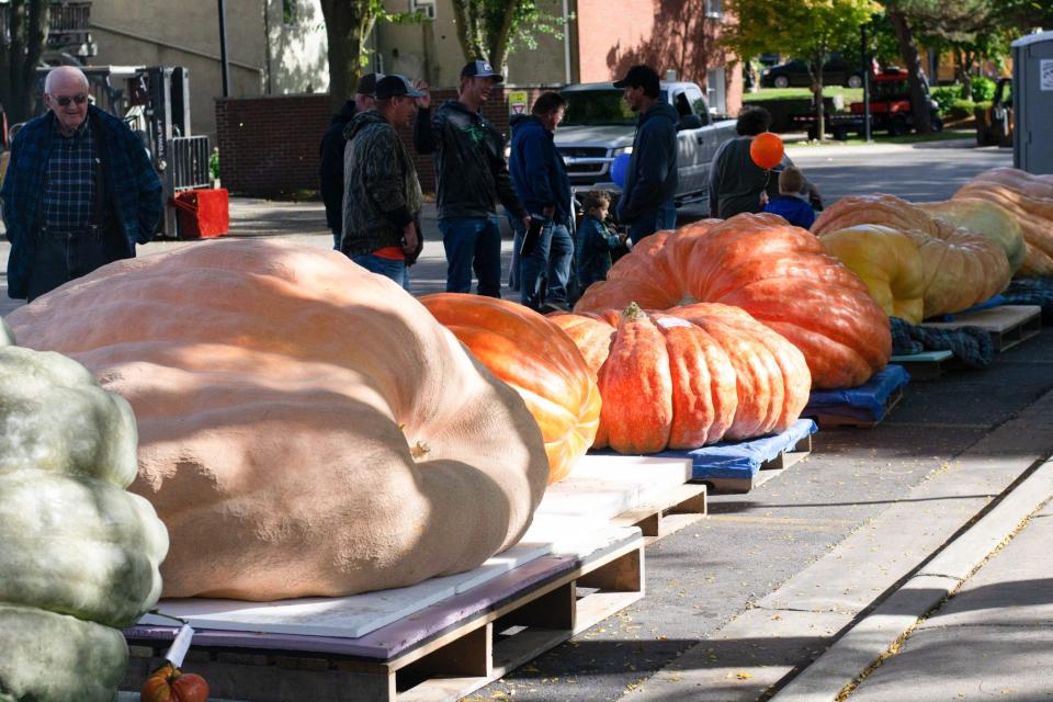 Giant pumpkins are shown last year at Dundee's Pumpkin Palooza and Great Pumpkin Weigh-off. This year's festival is Oct. 7. Weigh-in is at 11 a.m.