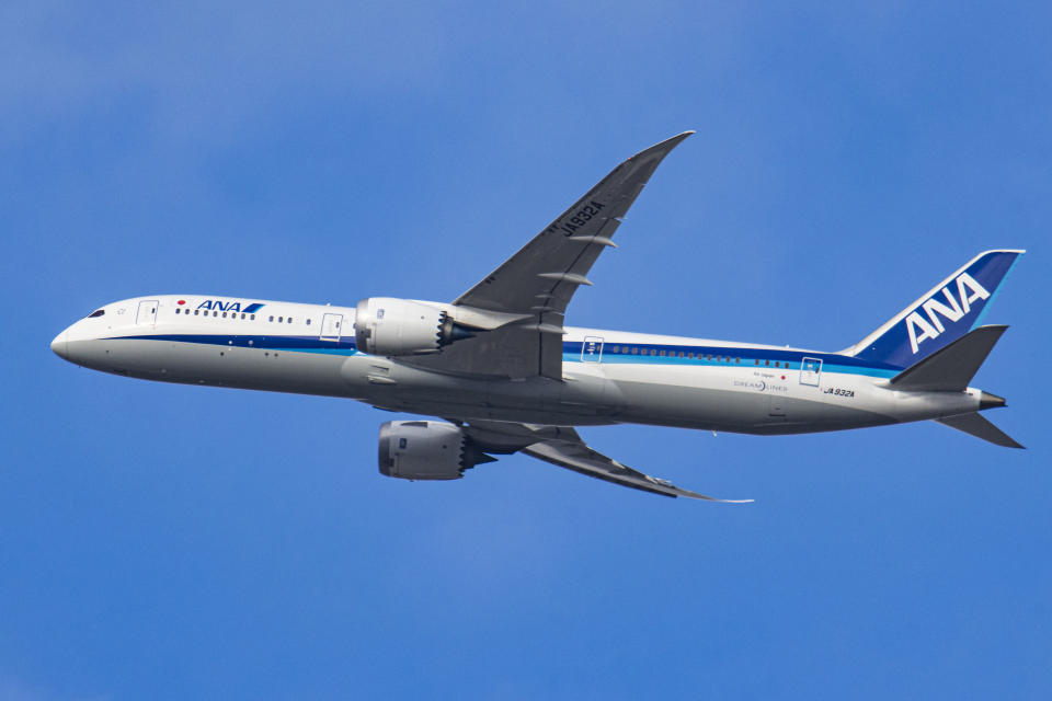 ANA airplane in flight against a clear sky