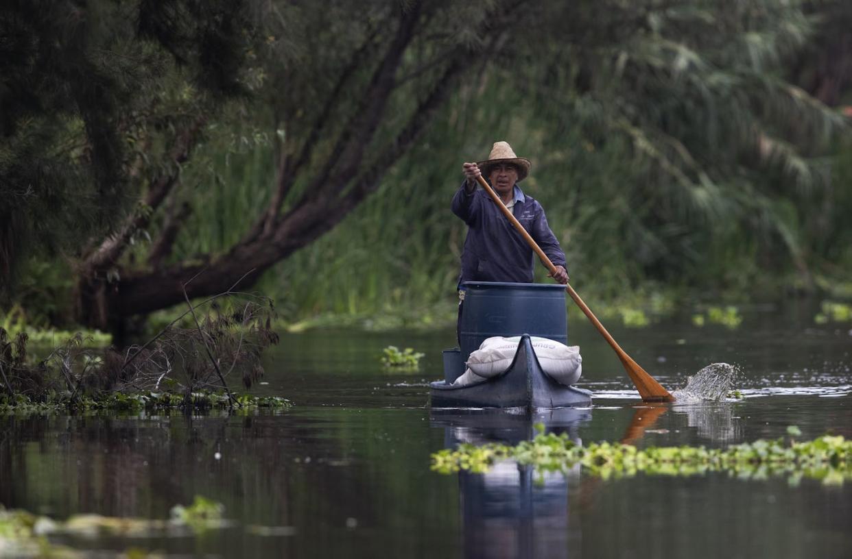 A farmer paddles to his fields on an artificial island among canals, part of an ancient Aztec system known as chinampas, in 2021. <a href="https://newsroom.ap.org/detail/ae1d688be96145e38f16681367992bca?ext=true" rel="nofollow noopener" target="_blank" data-ylk="slk:AP Photo /Marco Ugarte;elm:context_link;itc:0;sec:content-canvas" class="link ">AP Photo /Marco Ugarte</a>