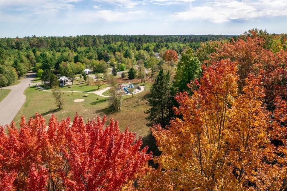 Hartwick Pines State Park in 2021.