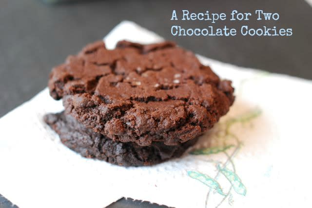 A Recipe for Two Chocolate Cookies