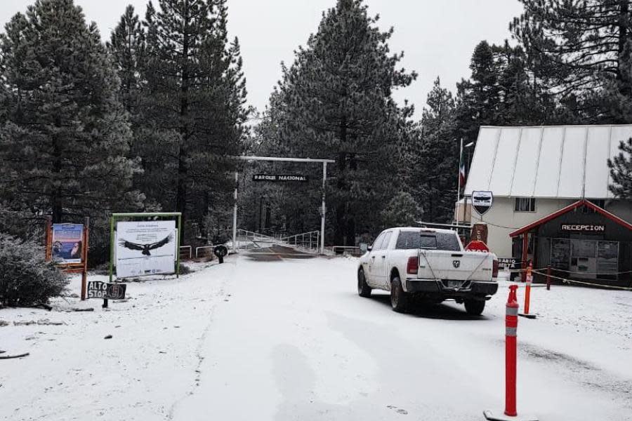 Nieve pinta de blanco la Sierra San Pedro Mártir en Baja California.