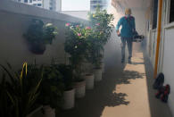 A worker fogs the corridor of a public housing estate in the vicinity where a locally transmitted Zika virus case was discovered, in Singapore August 29, 2016. REUTERS/Edgar Su