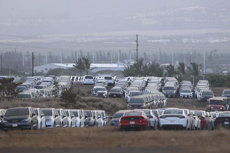 Unused rental cars fill a dusty field near Kahului Airport, Friday, Sept. 1, 2023, in Kahului, Hawaii. So few tourists are coming to the Hawaiian island of Maui after last month's wildfires that restaurants and tour companies are laying off workers and unemployment is surging. State tourism officials initially urged travelers to stay away but now want them to come back so long as they refrain from going to the burn zone and surrounding area. (AP Photo/Marco Garcia)