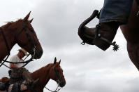 ASSATEAGUE ISLAND, VA - JULY 21: Saltwater cowboys prepare to round up wild ponies and heard them to a holding pen before making next weeks annual swim across the Assateague Channel to Chincoteague Island, on July 21, 2012 in Assateague Island, Virginia. Each year the wild ponies are auctioned off by the Chincoteague Volunteer Fire Company. (Photo by Mark Wilson/Getty Images)