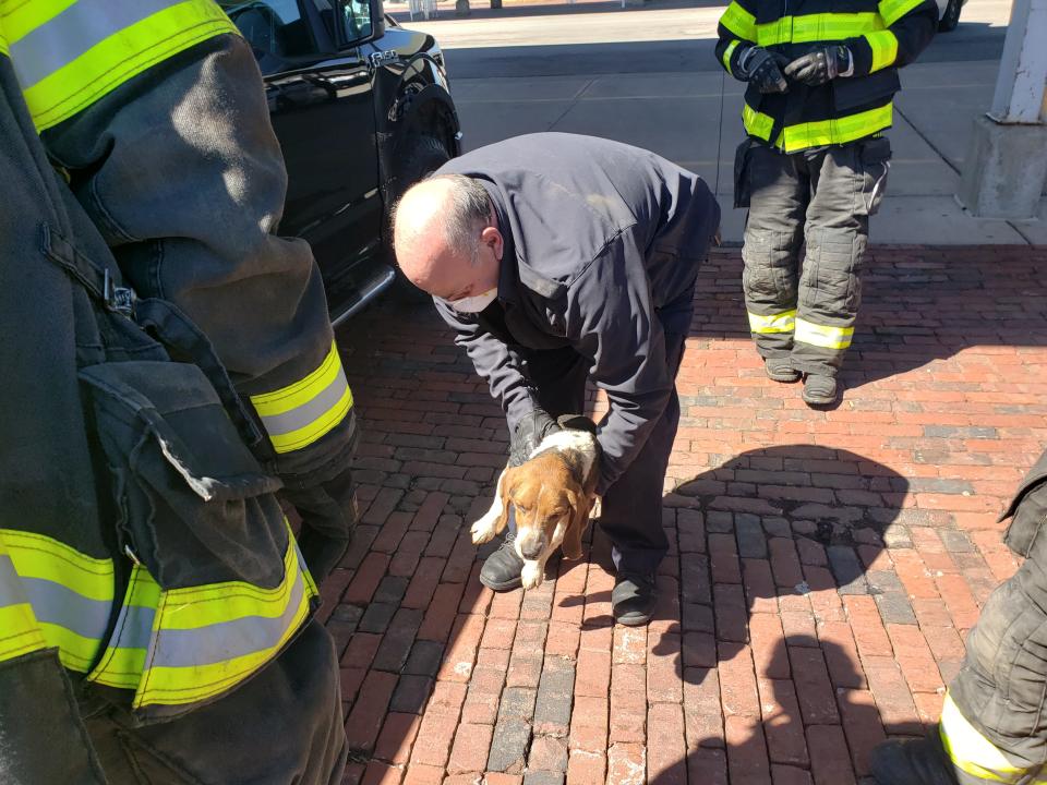 Zeke, a 2-year-old beagle, was trapped under a pickup for 40 miles and then freed this morning by firefighters.