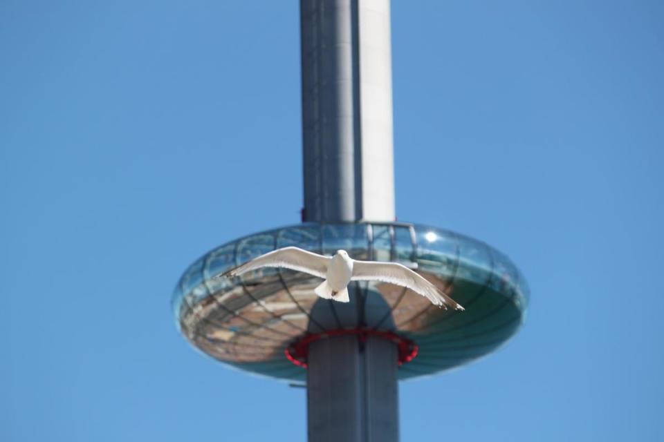 Visitors to the i360 stripped off for a special nude flight on the viewing tower <i>(Image: Pixabay/gekkodigitalmedia)</i>