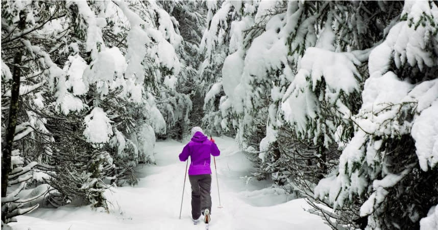 有名中國大陸籍女性遊客於近日在新潟縣湯澤町的一個滑雪場滑雪時，被初雪困住，發現時正被埋在積雪中動彈不得。（示意圖／Pexels）