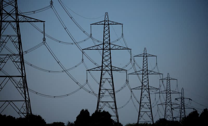 FILE PHOTO: A row of electricity pylons is seen near the Frodsham onshore wind farm in Frodsham, Britain