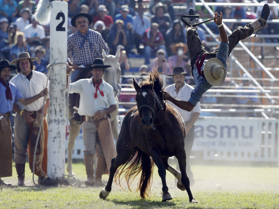 rider tripping, tripped up, bucked off, rodeo