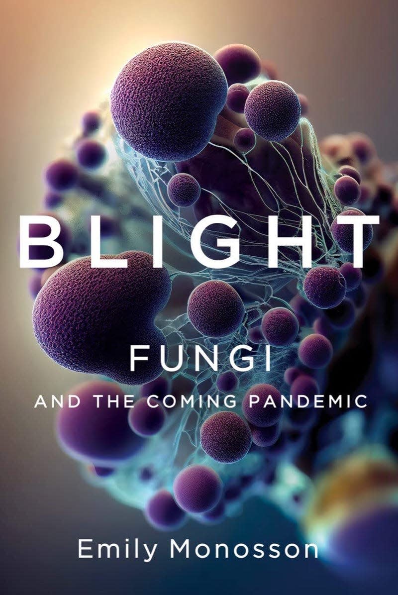 book cover for "Blight: Fungi and the Coming Pandemic"