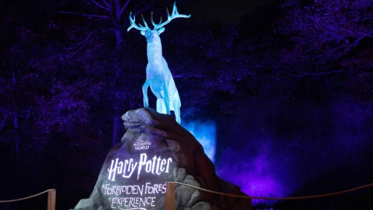 Harry Potter event in Australia causes excitement