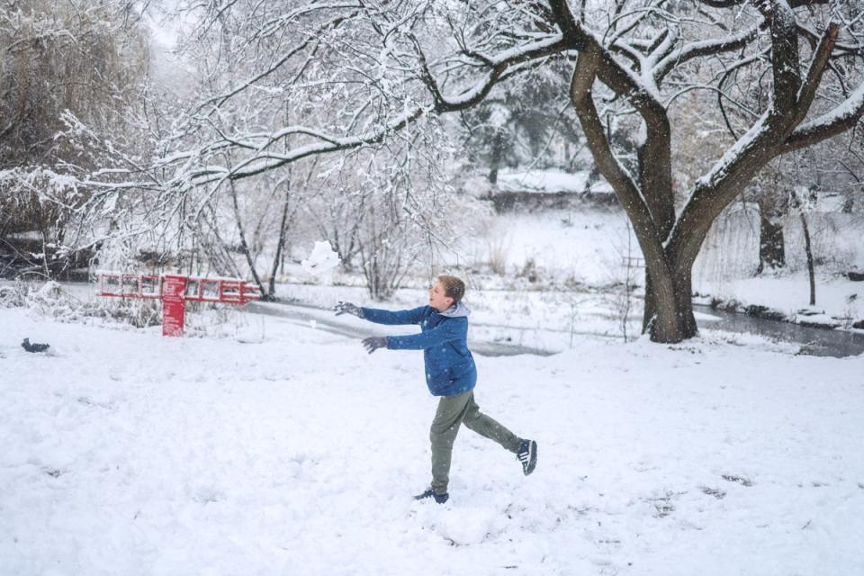 A child plays in the snow in Central Park in New York City (AFP via Getty Images)