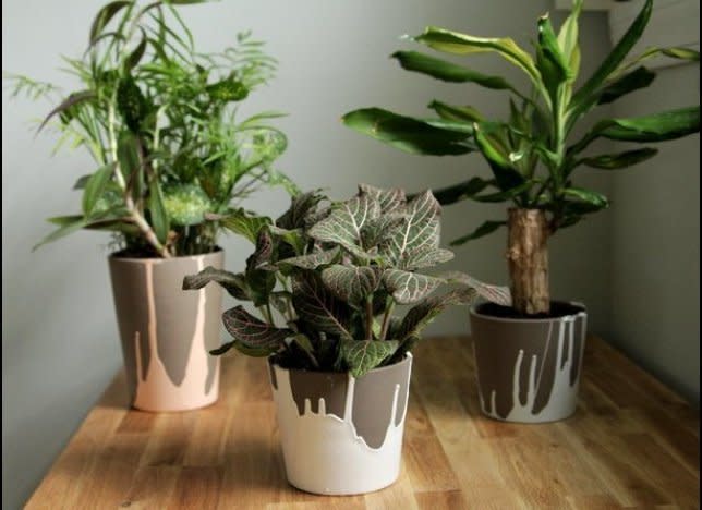 This is a great way to use<a href="http://www.huffingtonpost.com/2013/01/14/paint-dipped-pots-craft_n_2449767.html" target="_hplink"> up those extra paint samples</a>. 