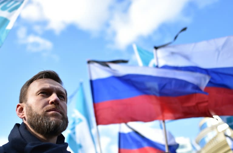 Alexei Navalny was the star speaker at mass protests in 2011 and 2012 over President Vladimir Putin's return to the Kremlin and came second in Moscow's mayor race in 2013