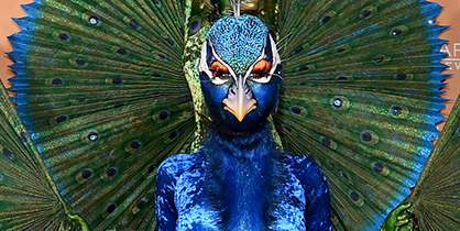 New May Velvet Blazer in Peacock Blue