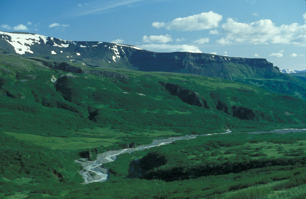 Lefthand Valley Wilderness Area in Summer, Izembek National Wildlife Refuge. (Photo/Public Domain)