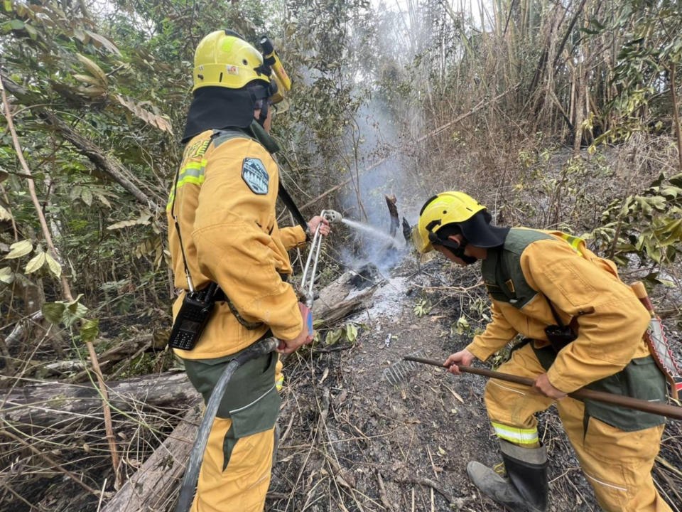 高雄內門山林大火延燒多日，高雄市消防局17日上午7時18分宣布狀況解除，全數殘火處理完畢。圖為16日消防人員救火情形。（圖／屏東林管處提供）