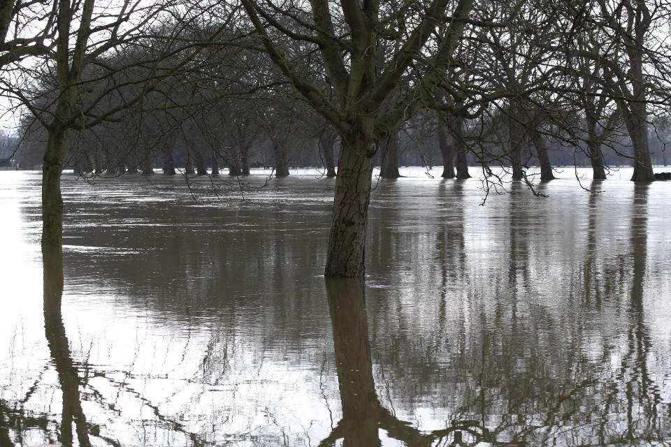 Trees in a park by the River Thames, in Datchet, England, submerged in water, Monday, Feb. 10, 2014. The River Thames has burst its banks after reaching its highest level in years, flooding riverside towns upstream of London. Residents and British troops had piled up sandbags in a bid to protect properties from the latest bout of flooding to hit Britain. But the floods overwhelmed their defences Monday, leaving areas including the centre of the village of Datchet underwater. (AP Photo/Sang Tan)