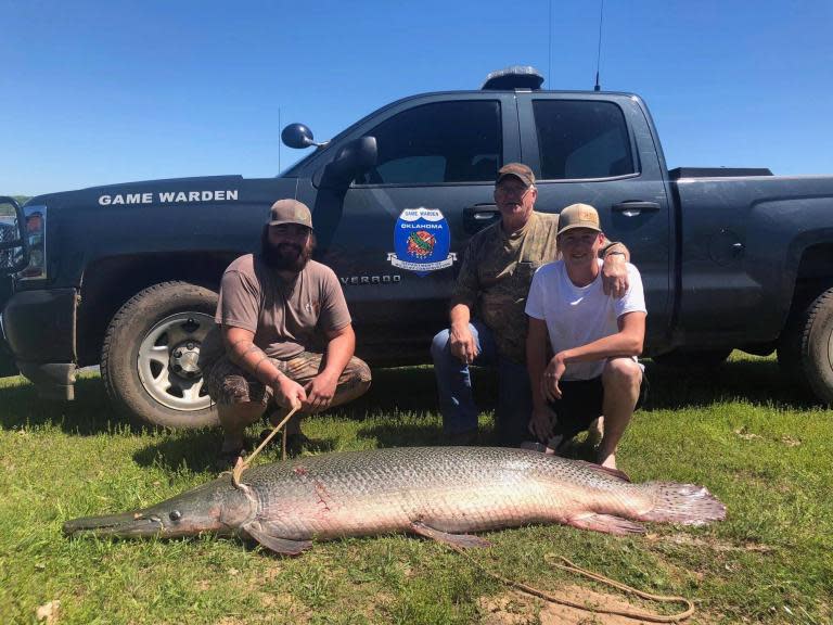 ‘Prehistoric’ 7ft alligator gar fish caught on US lake