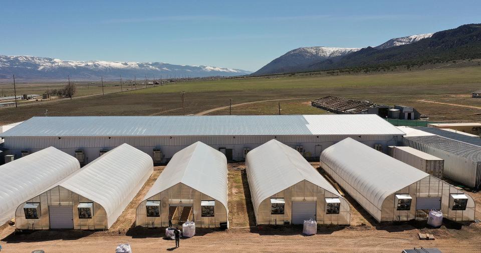 The Dragonfly Wellness Grow Facility is pictured in Moroni on Friday, April 28, 2023. | Kristin Murphy, Deseret News