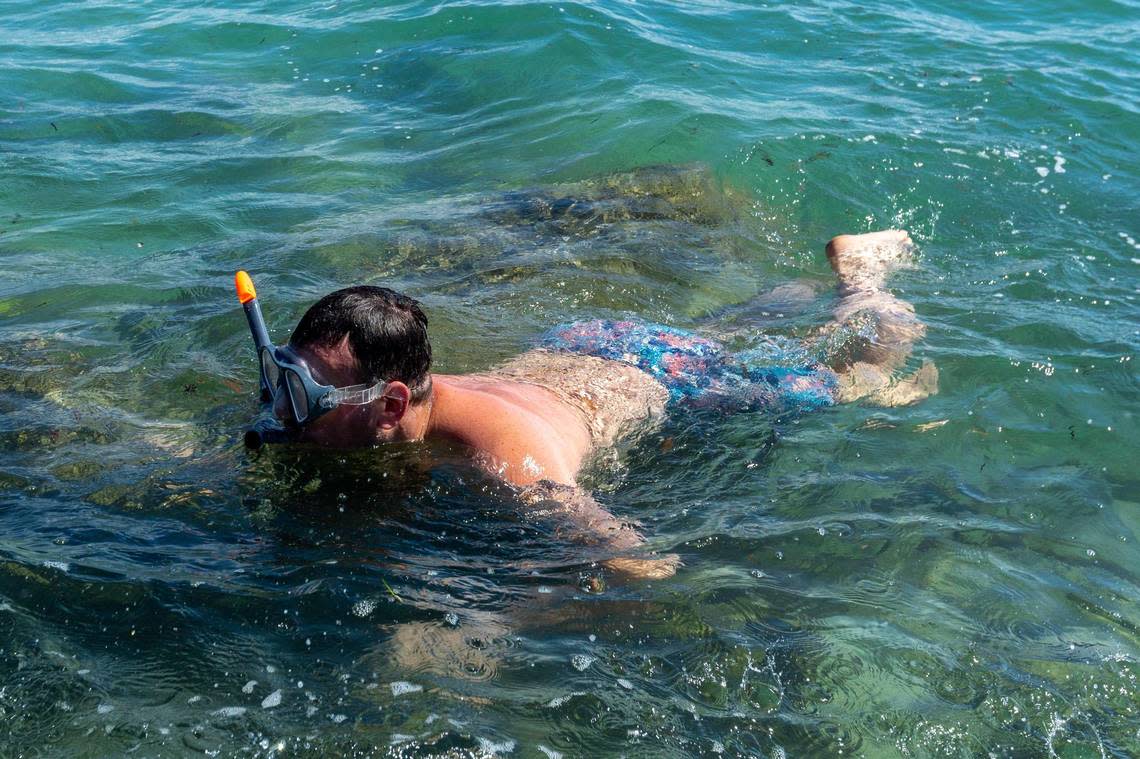 A man snorkels around the jetty at Bill Baggs Cape Florida State Park in Key Biscayne, Florida, on Wednesday, Feb. 22, 2023.