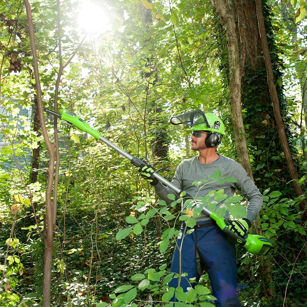 Man in woods using pole saw while wearing safety gear