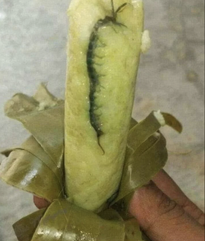 closeup of a hand holding some kind of vegetable