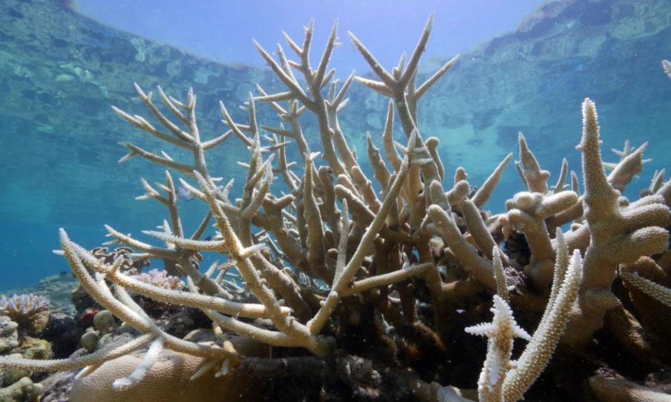 Great Barrier Reef