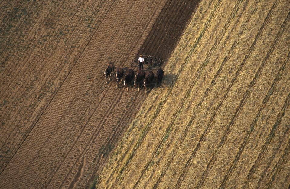 An Amish farmer in 2005.