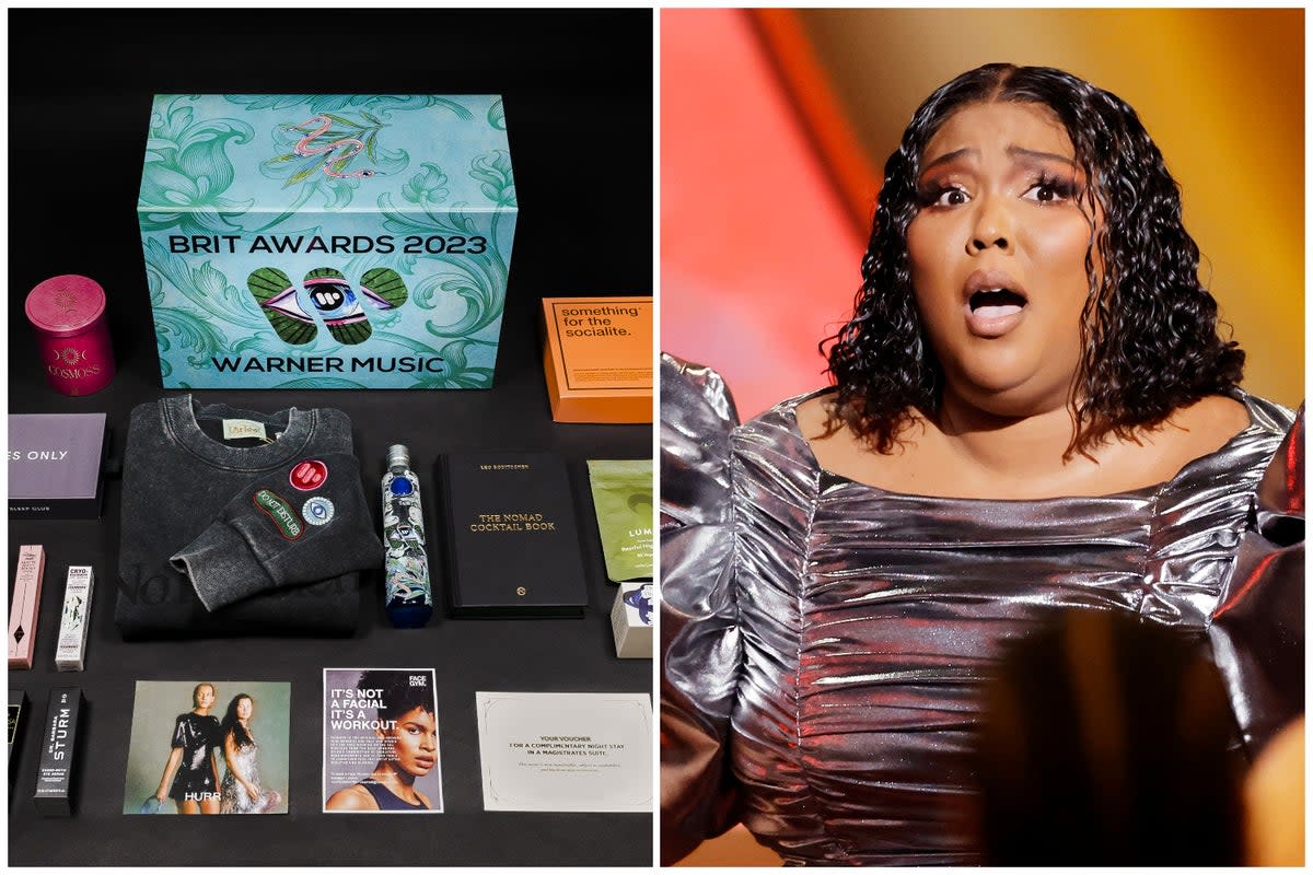 Lizzo and other celebrites have received a luxury goodie box from Warner Music ahead of the Brits  (ES Composite)