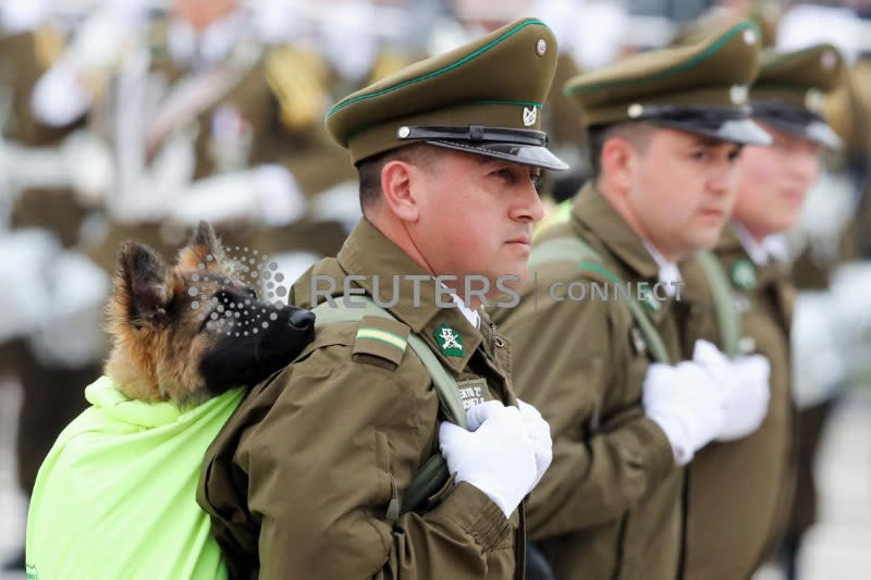 Desfile militar anual en el parque Bernardo O'Higgins, en Santiago