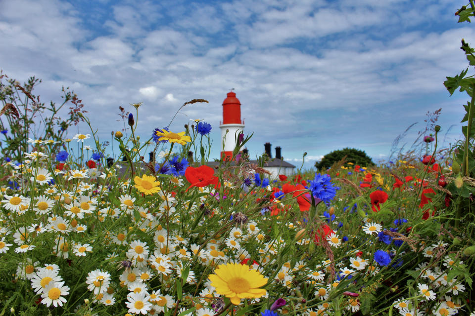 National Trust handbook 2019 photo competition