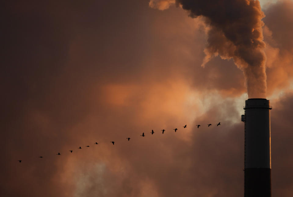 FILE - In this Jan. 10, 2009, file photo, a flock of geese fly past a smokestack at a coal power plant near Emmitt, Kan. The Biden administration said Thursday, Feb. 4, 2021, it was delaying a rule finalized in former President Donald Trump's last days in office that would have drastically weakened the government's power to enforce a century-old law protecting most wild birds. (AP Photo/Charlie Riedel, File)