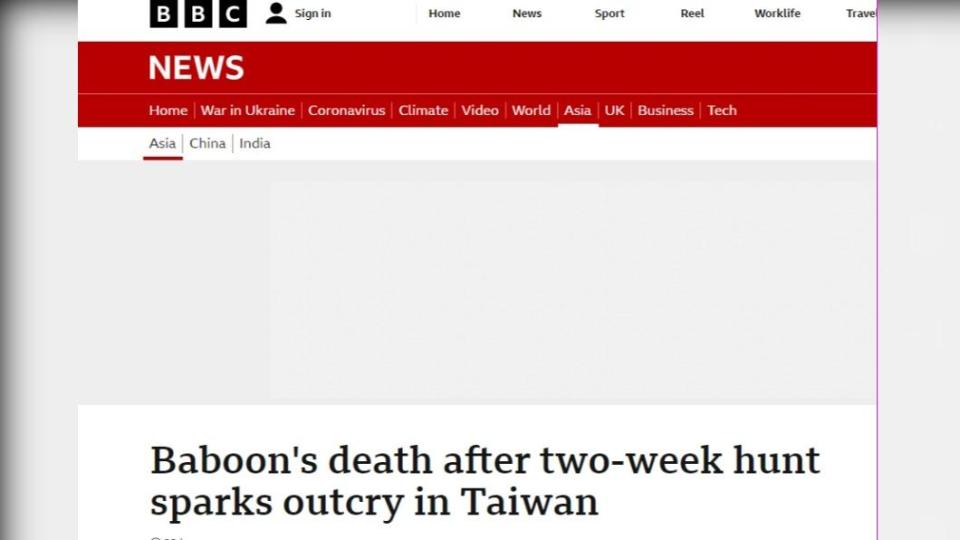 狒狒逃亡和死亡一事，也因為關注度太高登上BBC英文版面。（圖／翻攝自BBC官網）