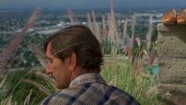 <p>Harry Dean Stanton, 14 July 1926 – 15 September 2017<br>Best known for: Paris Texas, Repo Man </p>