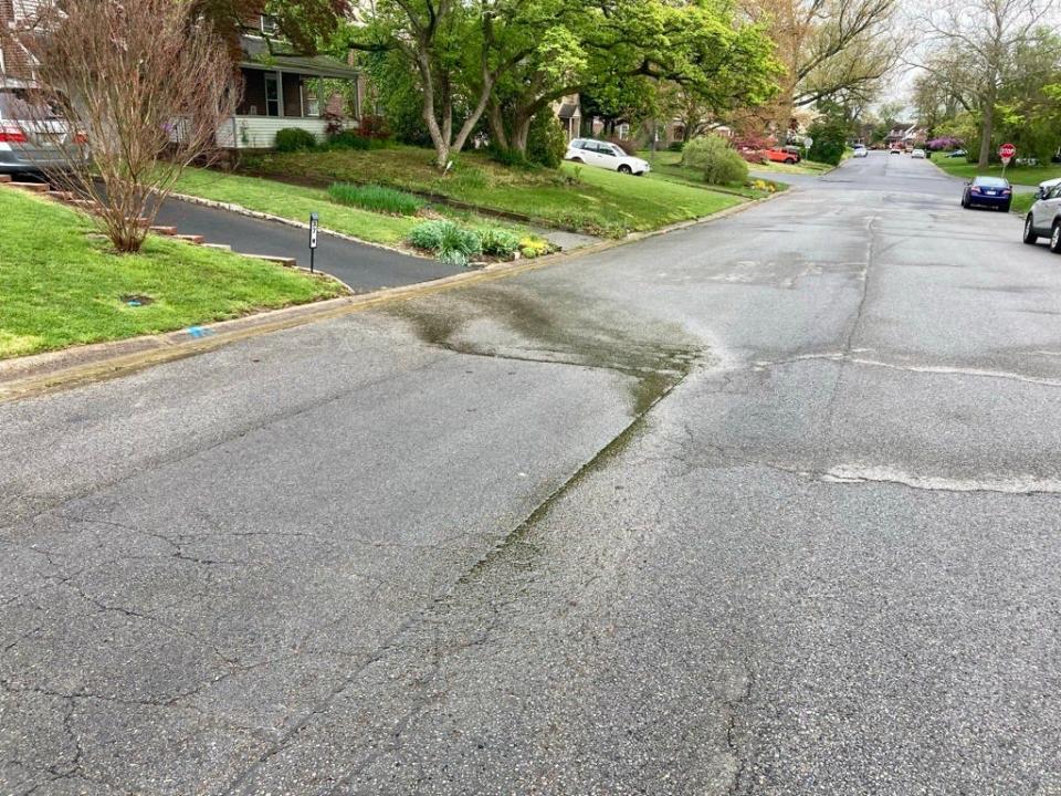 Residents say water constantly seeps from a crack on West Salisbury Drive in Edgemoor Terrace. They said that properties running perpendicular to West Salisbury Drive are flooded regularly. April 17, 2024.