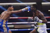 Shakur Stevenson hits Jeremiah Nakathila, of Namibia, in a WBO interim junior lightweight title fight Saturday, June 12, 2021, in Las Vegas. (AP Photo/John Locher)