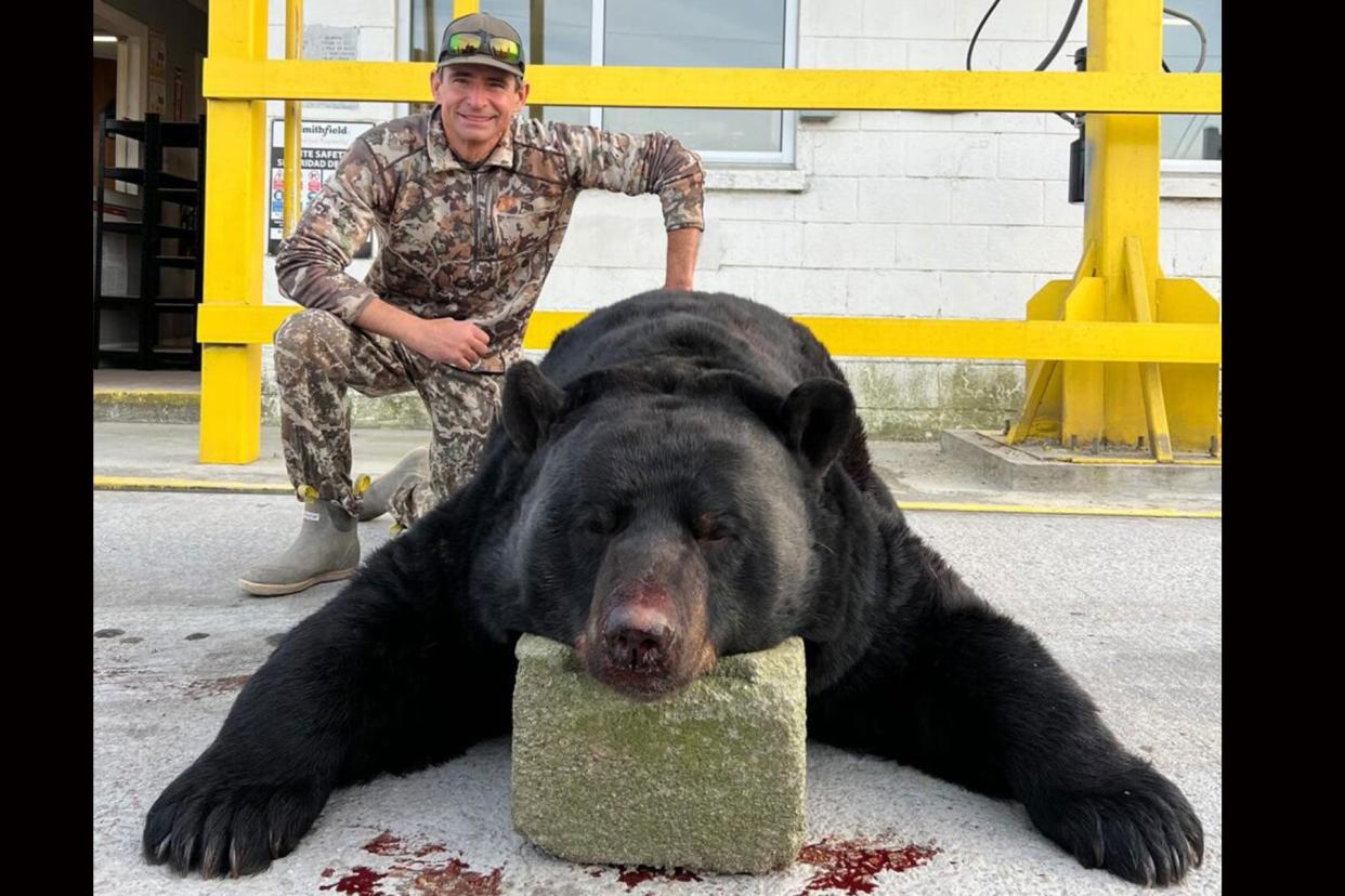 Brad Jones' eastern North Carolina bruin outweighed the current western North Carolina record by nearly 100 pounds.