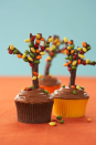 <p>Add a fall flair to any cupcake flavor by adding chocolate-flavored licorice and chocolate-coated sunflower seeds to create "trees."</p><p><em><strong><a href="https://www.womansday.com/food-recipes/cooking-tips/tips/a2919/how-to-make-a-cupcake-tree-18321/" rel="nofollow noopener" target="_blank" data-ylk="slk:Get the recipe for Autumn Tree Cupcakes.;elm:context_link;itc:0;sec:content-canvas" class="link ">Get the recipe for Autumn Tree Cupcakes.</a></strong></em></p>