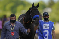 Medina Spirit is walked on the track before participating in the 146th Preakness Stakes horse race at Pimlico Race Course, Saturday, May 15, 2021, in Baltimore. (AP Photo/Julio Cortez)